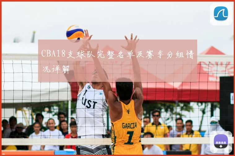 CBA18支球队完整名单及赛季分组情况详解