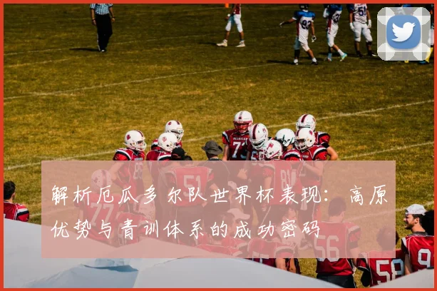 解析厄瓜多尔队世界杯表现:高原优势与青训体系的成功密码