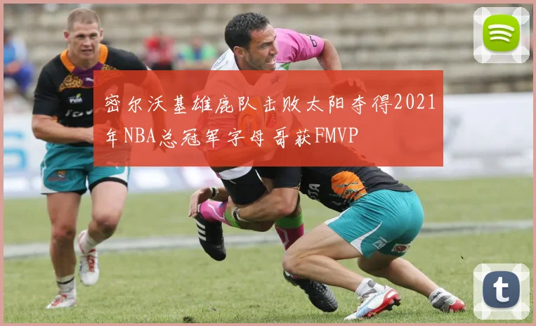 密尔沃基雄鹿队击败太阳夺得2021年NBA总冠军字母哥获FMVP