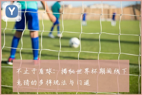 不止于看球:揭秘世界杯期间线下竞猜的多样玩法与门道
