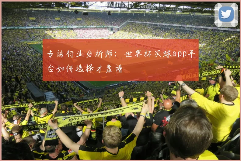 专访行业分析师：世界杯买球app平台如何选择才靠谱