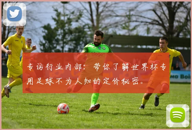 专访行业内部：带你了解世界杯专用足球不为人知的定价秘密。