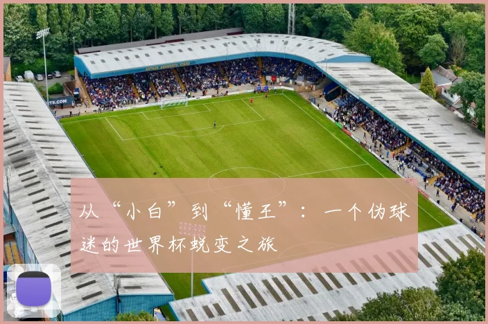 从“小白”到“懂王”：一个伪球迷的世界杯蜕变之旅