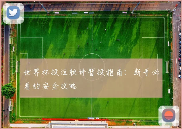 世界杯投注软件暂投指南：新手必看的安全攻略