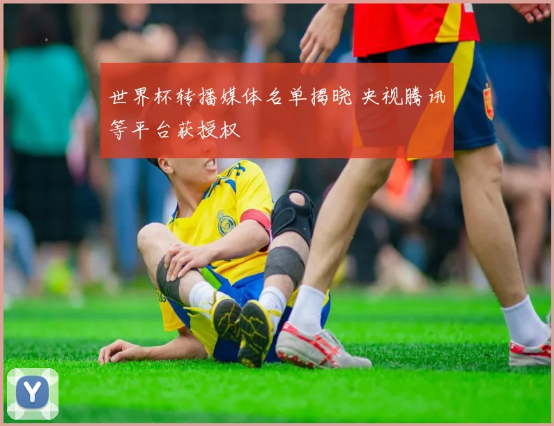 世界杯转播媒体名单揭晓 央视腾讯等平台获授权