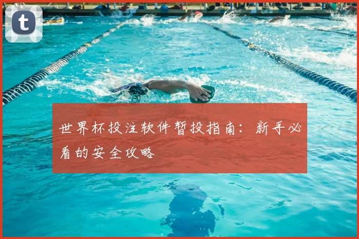 世界杯投注软件暂投指南：新手必看的安全攻略