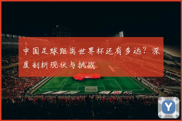 中国足球距离世界杯还有多远？深度剖析现状与挑战