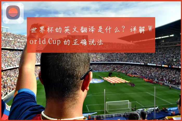 世界杯的英文翻译是什么？详解 World Cup 的正确说法